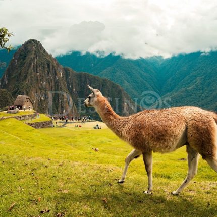 Perú